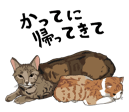 Free life cats. part1 sticker #1311021