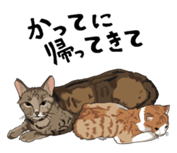 Free life cats. part1 sticker #1311021