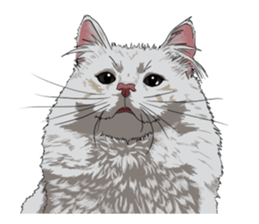 Free life cats. part1 sticker #1311032