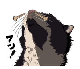 Free life cats. part1 sticker #1311039