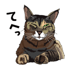 Free life cats. part1 sticker #1311045