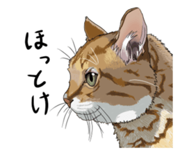 Free life cats. part1 sticker #1311049