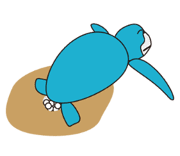 Easygoing life of sea turtle Cameta sticker #1313103
