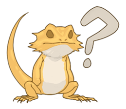 The Pogona vitticeps sticker #1313145