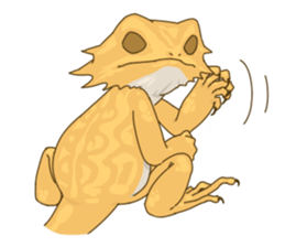 The Pogona vitticeps sticker #1313176