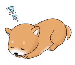 mame shiba sticker #1314821