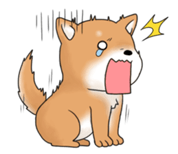 mame shiba sticker #1314825