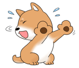 mame shiba sticker #1314826