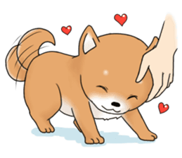 mame shiba sticker #1314836
