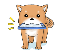 mame shiba sticker #1314837