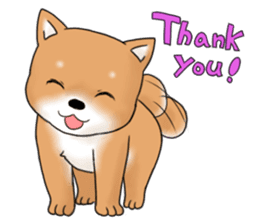 mame shiba sticker #1314838