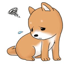 mame shiba sticker #1314839