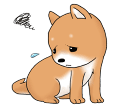 mame shiba sticker #1314839