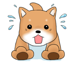 mame shiba sticker #1314841