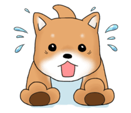 mame shiba sticker #1314841
