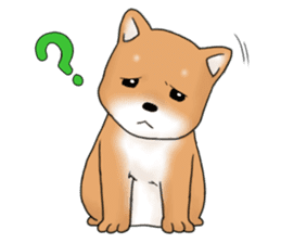 mame shiba sticker #1314842