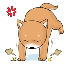 mame shiba sticker #1314843