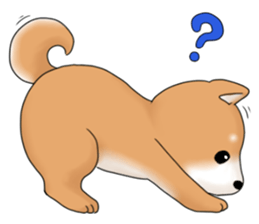 mame shiba sticker #1314846