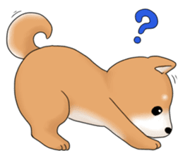 mame shiba sticker #1314846