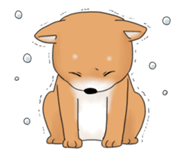 mame shiba sticker #1314847