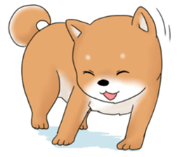 mame shiba sticker #1314850