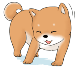 mame shiba sticker #1314850