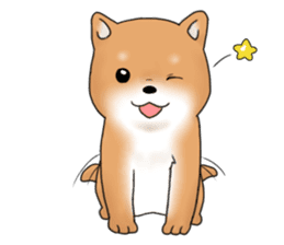 mame shiba sticker #1314851