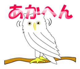 Mie Prefecture accent owl sticker #1316578