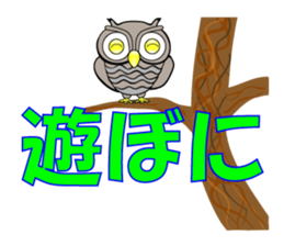 Mie Prefecture accent owl sticker #1316617