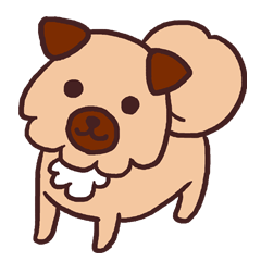 Michael is a hybrid dog living in Hakata