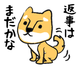 Midget Shiba sticker #1320347