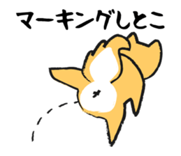 Midget Shiba sticker #1320350