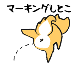 Midget Shiba sticker #1320350