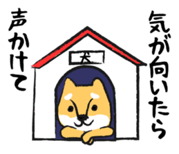 Midget Shiba sticker #1320352