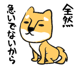 Midget Shiba sticker #1320356