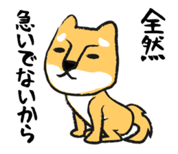 Midget Shiba sticker #1320356