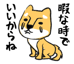 Midget Shiba sticker #1320357