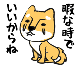 Midget Shiba sticker #1320357