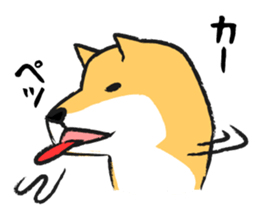 Midget Shiba sticker #1320360