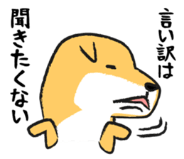 Midget Shiba sticker #1320361