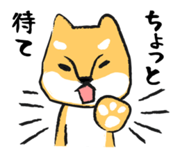 Midget Shiba sticker #1320366
