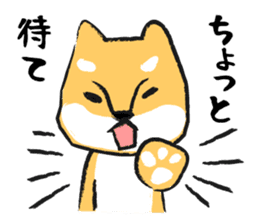 Midget Shiba sticker #1320366