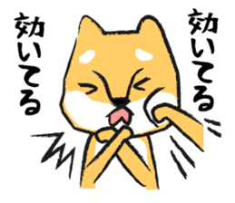 Midget Shiba sticker #1320367