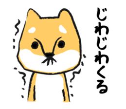Midget Shiba sticker #1320368