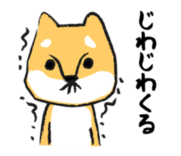Midget Shiba sticker #1320368