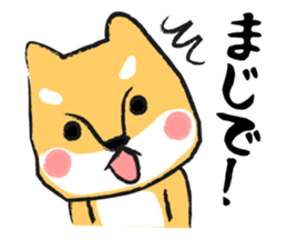 Midget Shiba sticker #1320369