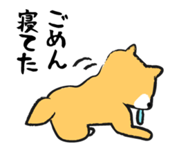 Midget Shiba sticker #1320370