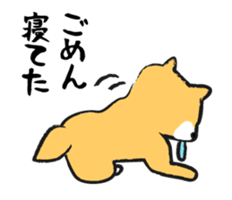 Midget Shiba sticker #1320370