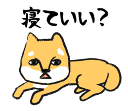 Midget Shiba sticker #1320371