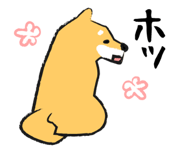 Midget Shiba sticker #1320373